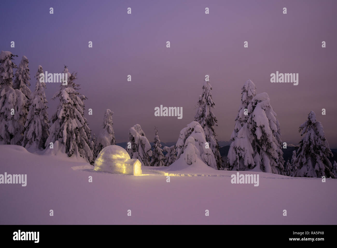 Trasognata winter wonderland con igloo di neve. Vista notturna con boschi innevati in una montagna Foto Stock