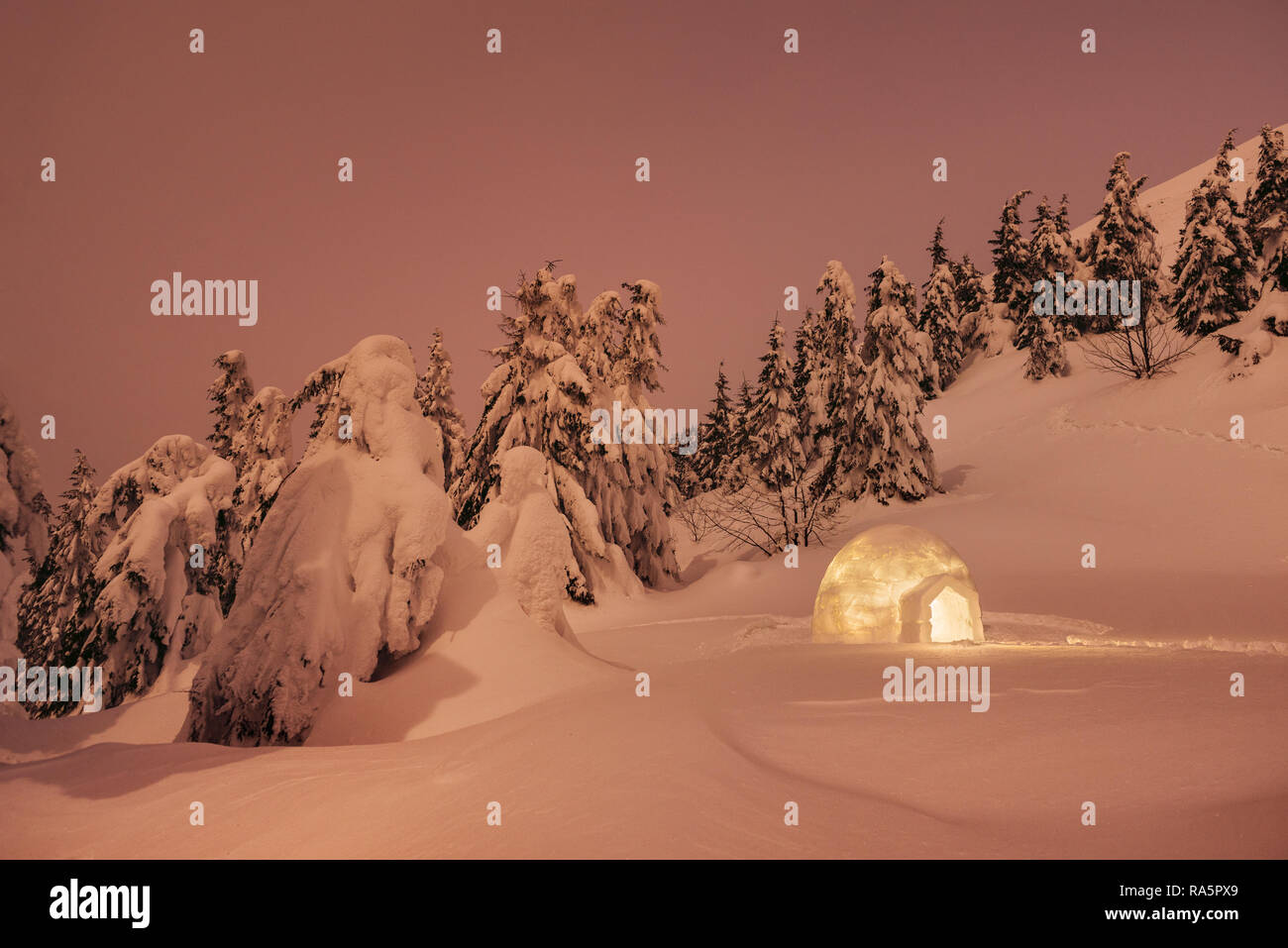 Winter Wonderland con igloo di neve. Scena notturna con neve abeti e il cumulo di neve. Paesaggio in rosso Foto Stock