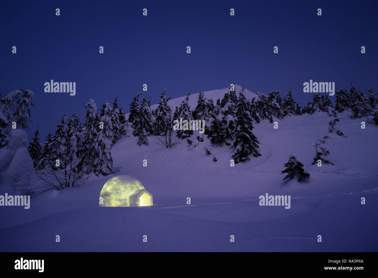Notte paesaggio invernale con neve igloo. Avventura all'aperto. Camping con ricovero per escursionisti invernali Foto Stock