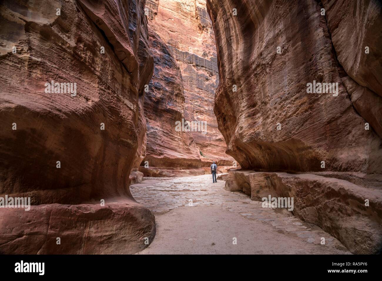 Il canyon stretto Siq conduce a Petra, Giordania Foto Stock