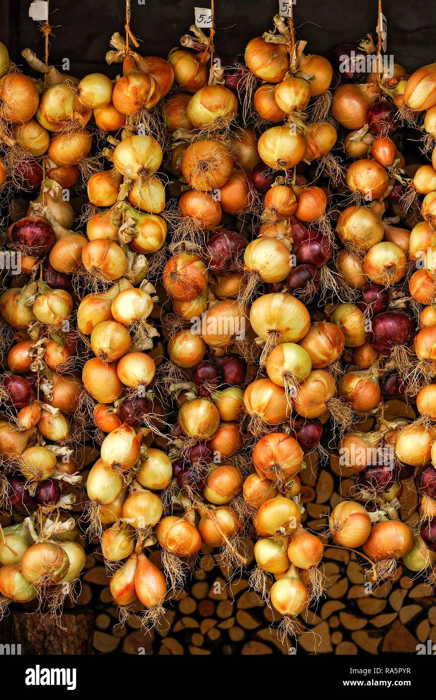 Rosso e cipolle bianche, legato a trecce trecce di cipolla, Greding, Media Franconia, Franconia, Baviera, Germania Foto Stock