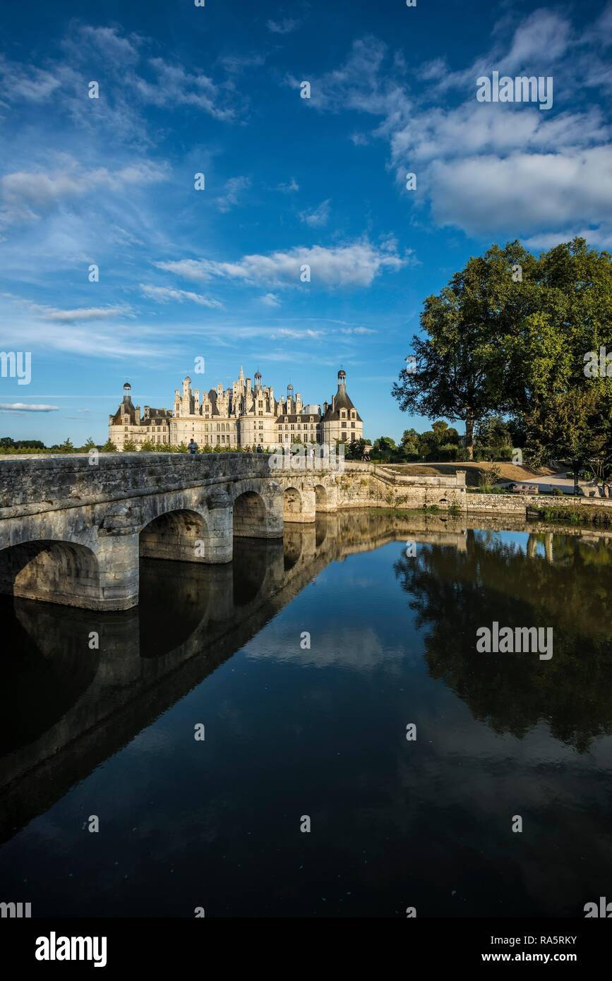 Castello di Chambord, facciata nord con fossato, Sito Patrimonio Mondiale dell'UNESCO, Loire, Dipartimento Loire et Cher, Regione centrale, Francia Foto Stock