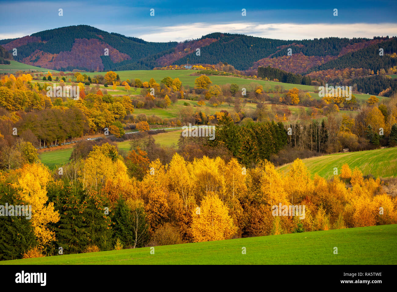 Autunno foresta nella zona di Sauerland, Renania settentrionale-Vestfalia,Germania, vicino a Schmallenberg, Foto Stock