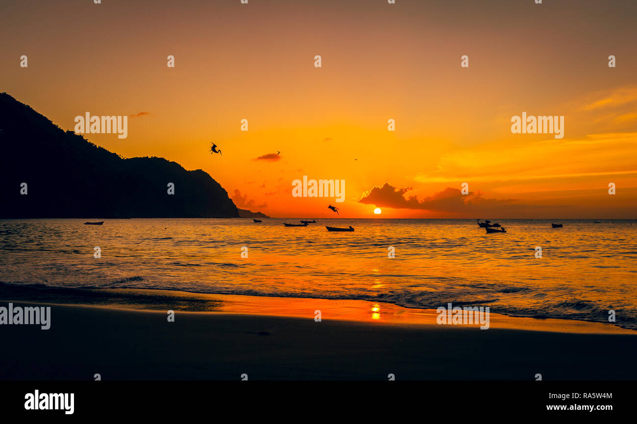 Tobago, West Indies, dei Caraibi. Bel tramonto sull'oceano nel villaggio di pescatori di Castara con uccelli marini e i pellicani immersioni nell'oceano. Foto Stock