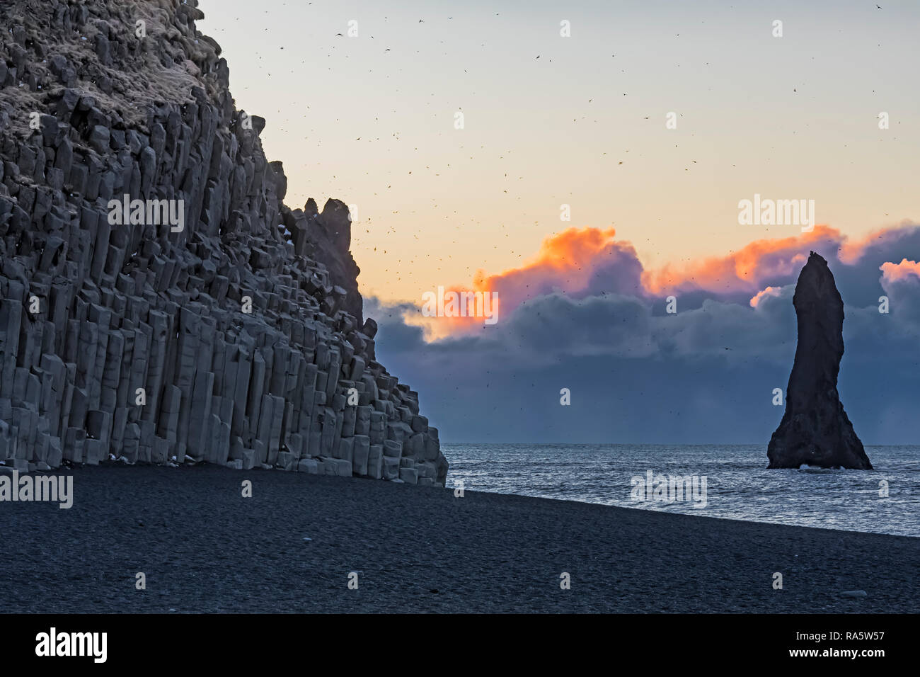 Reynisfjara sabbia nera, Beachl con Fulmars settentrionale, Fulmarus glacialis, volare in alto i numeri sopra le scogliere di basalto e mare Reynisdrangar pile, Foto Stock