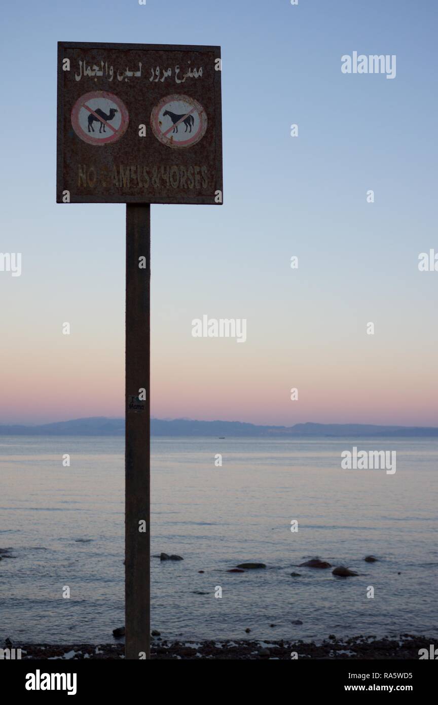 N. di cammelli e segno di cavalli sulla spiaggia a Dahab, Egitto Foto Stock