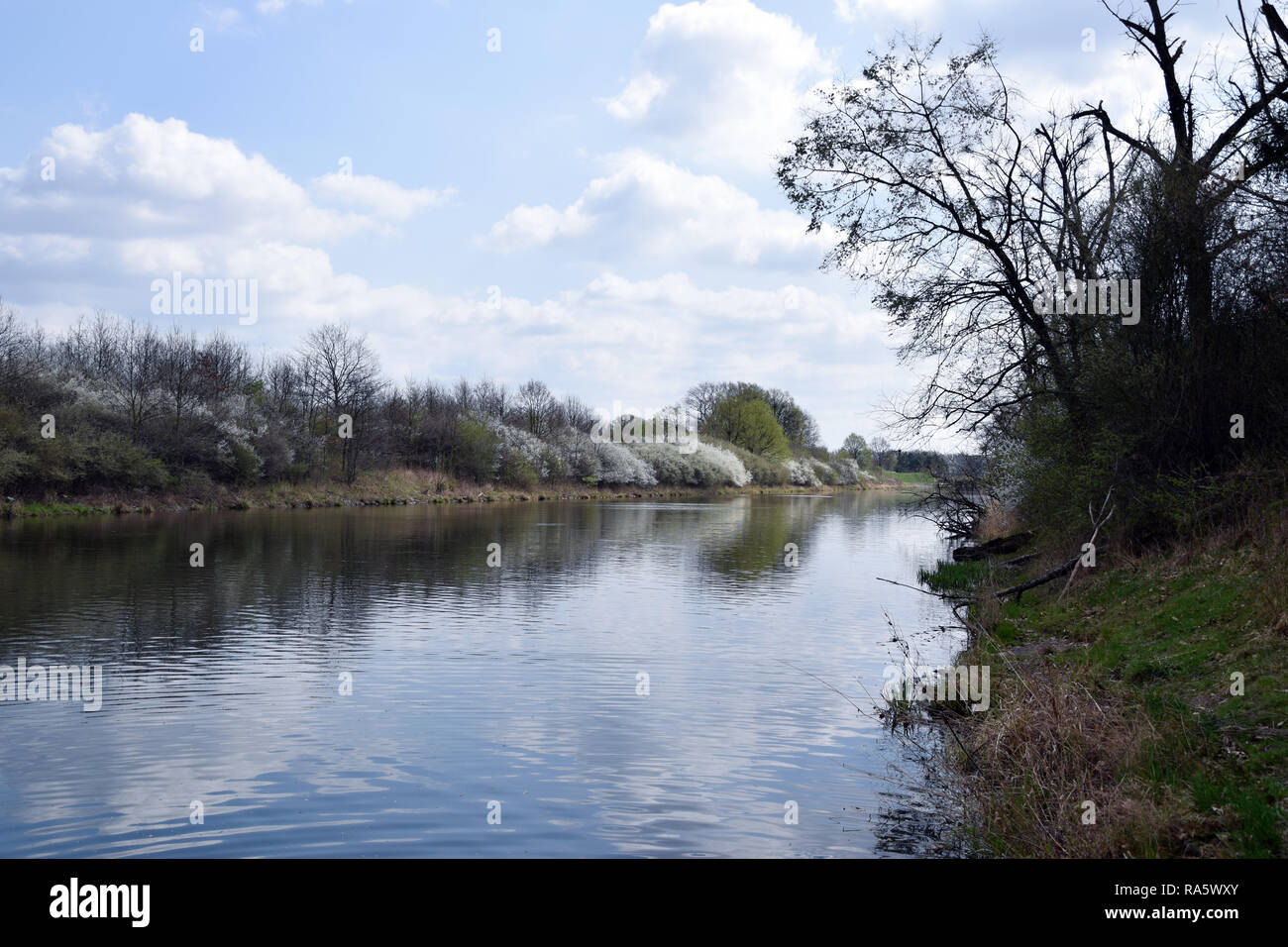 "Grady odrzanskie' - fiume Odra vicino la città di Wroclaw. Delle zone di protezione della natura "Natura 2000". Dolnoslaskie, Polonia. Foto Stock