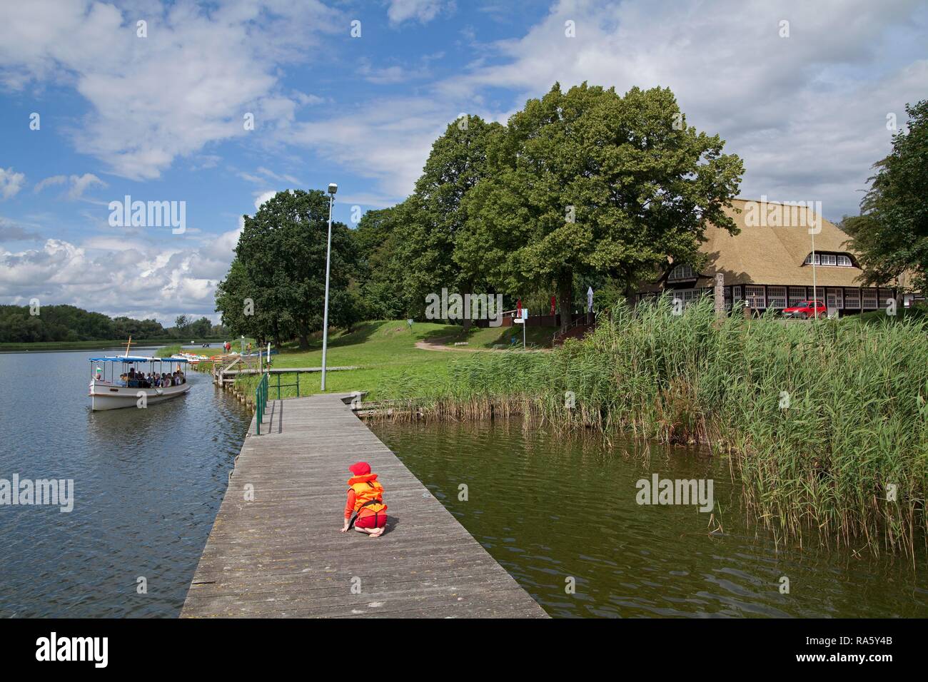 Burgwallinsel island, il lago Teterower vedere, Mecklenburgische Schweiz regione, Meclemburgo-Pomerania Occidentale Foto Stock