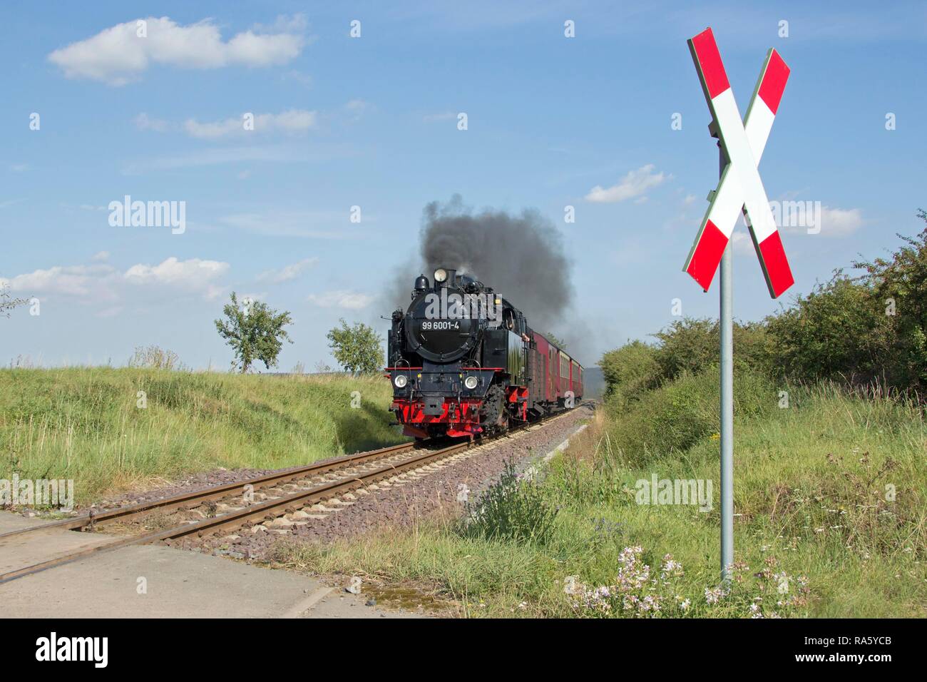 Treno a vapore da Selke Valley Railway vicino Quarmbeck, Harz, Sassonia-Anhalt Foto Stock