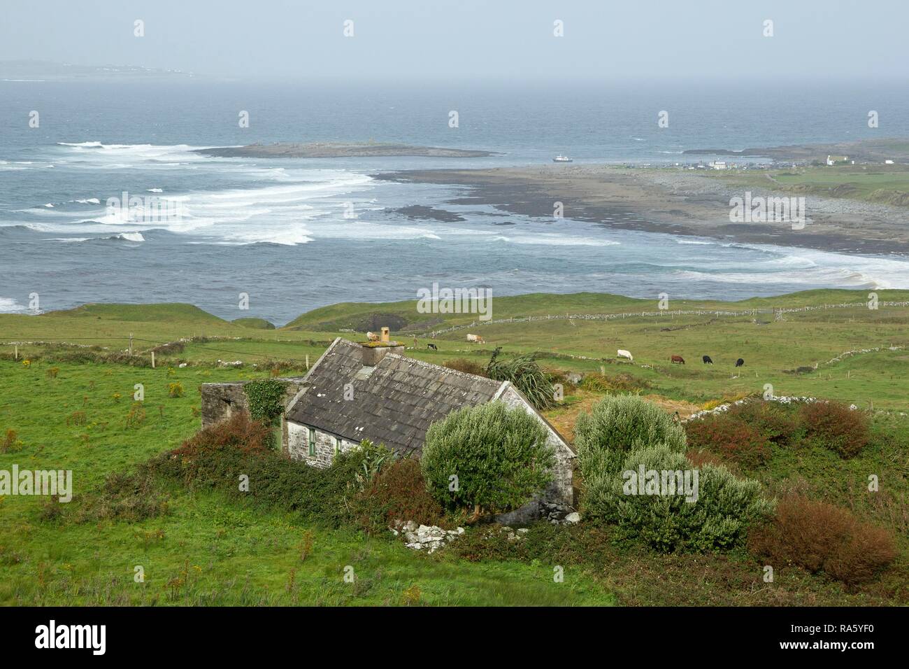 Costa e casa vicino a Doolin, County Clare, Irlanda, Europa PublicGround Foto Stock