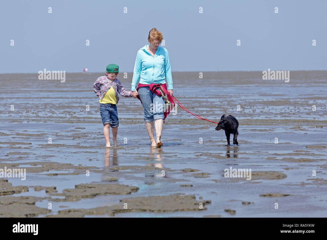 Madre e figlio e cane a camminare nel mare di Wadden, Duhnen, Cuxhaven, Bassa Sassonia, Germania Foto Stock