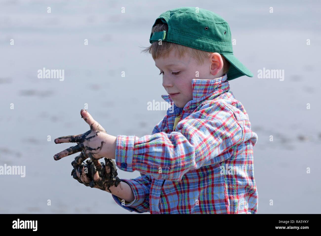 Ragazzo con le mani piene di fango delle velme del mare di Wadden, Duhnen, Cuxhaven, Bassa Sassonia, Germania Foto Stock