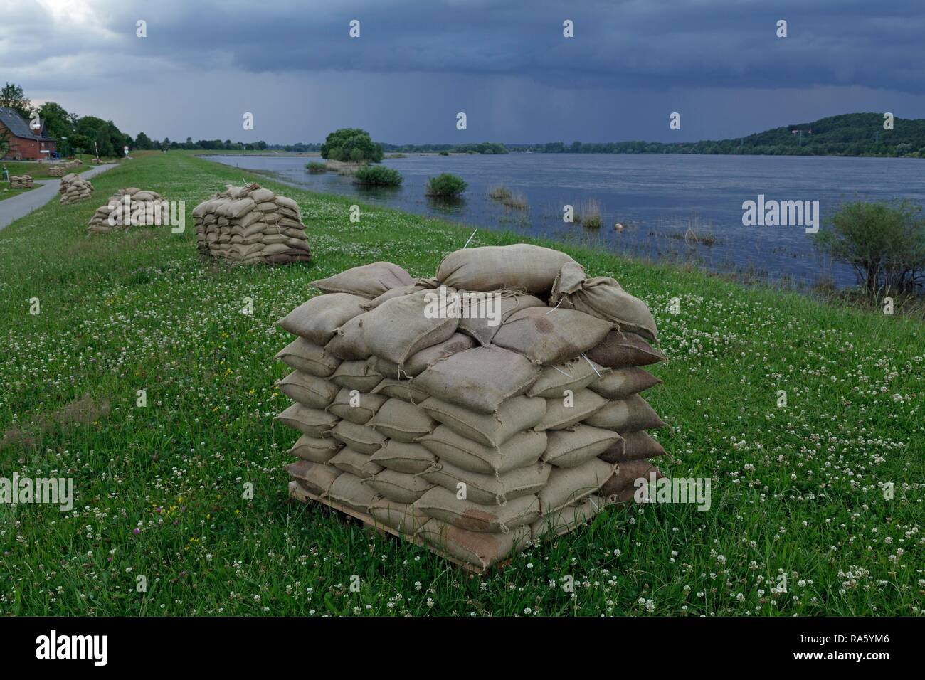 Sacchi di sabbia su una diga durante un'alluvione, vicino Tespe, Bassa Sassonia, Germania Foto Stock