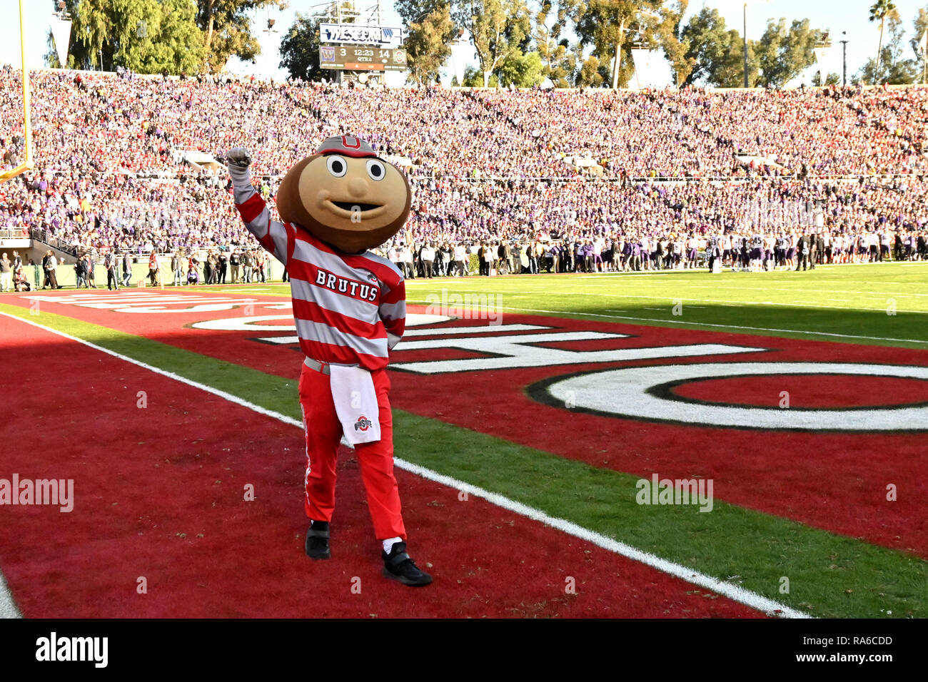 Pasadena, CA. 1a gen, 2019. Ohio State Buckeyes Bruto Buckeye durante il 105° Rose Bowl College partita di calcio tra la Ohio State Buckeyes e il Washington Huskies presso il Rose Bowl on gennaio 01, 2019 a Pasadena, in California.Louis Lopez/CSM/Alamy Live News Credito: Cal Sport Media/Alamy Live News Foto Stock