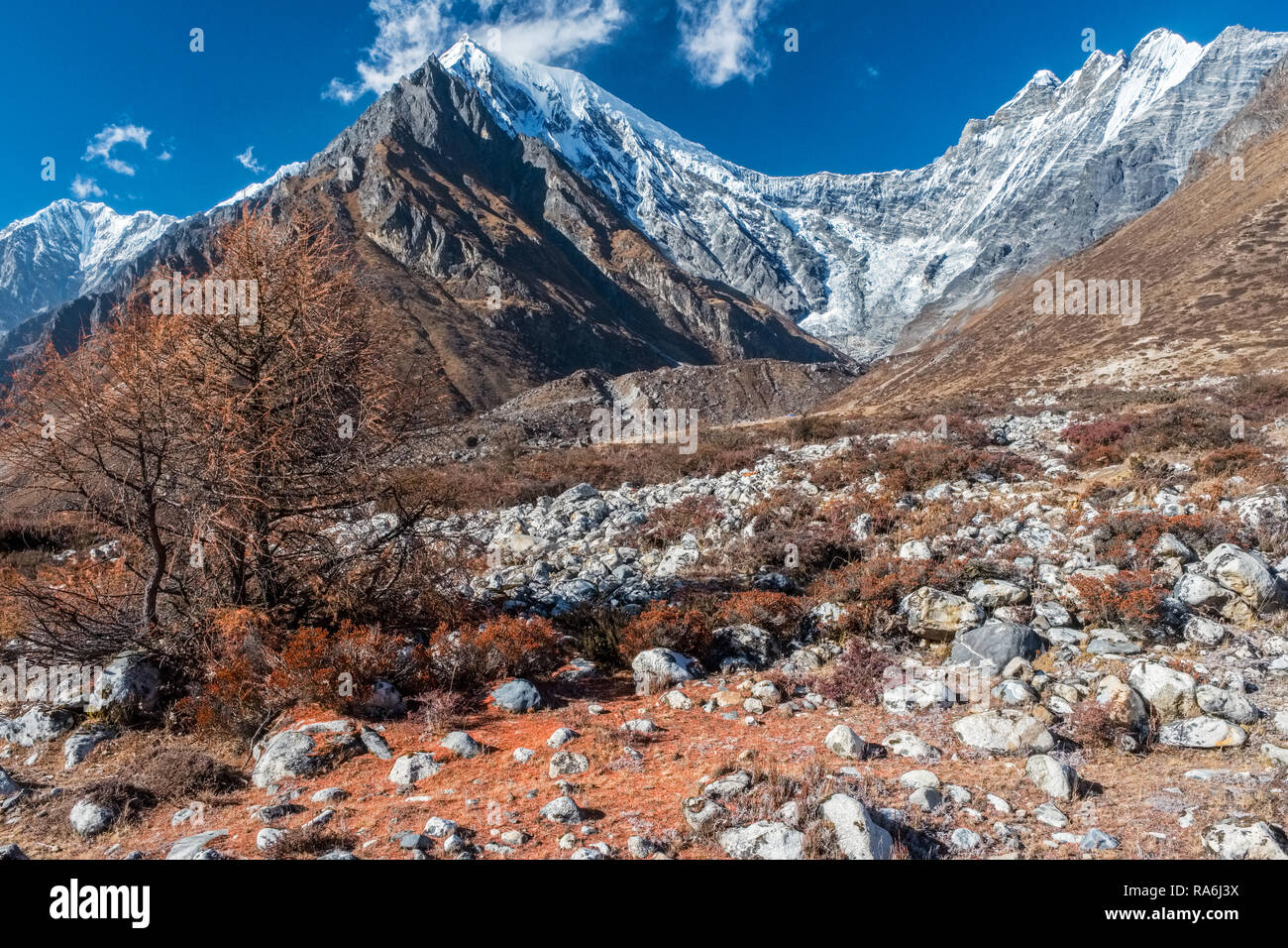Montagna alla testa della valle di Langtang sopra Kjanjin Gompa, Nepal Himalaya Foto Stock