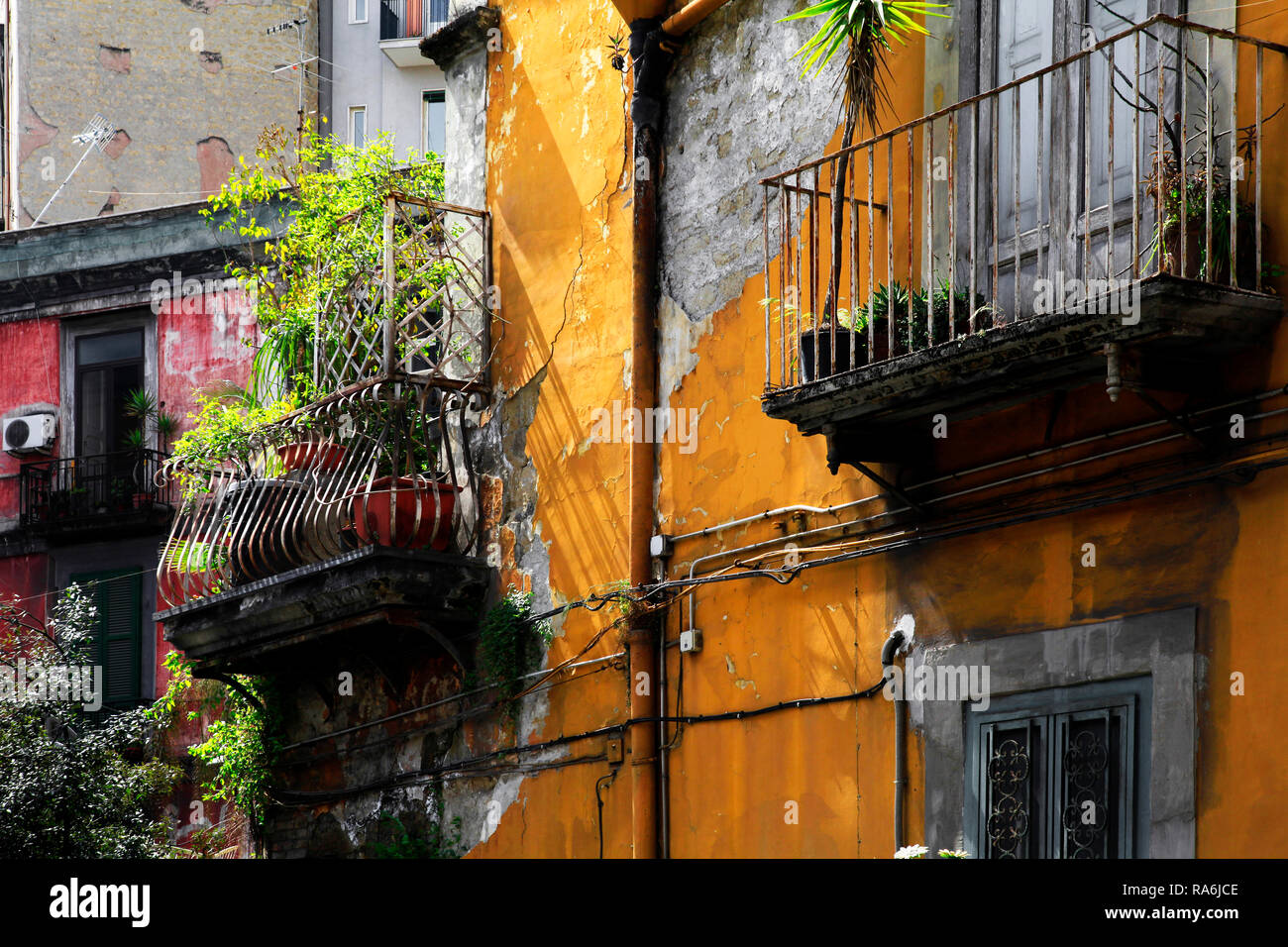 Verwitterte Hausfassade in der Altstadt, Neapel, Kampanien, Italien Foto Stock