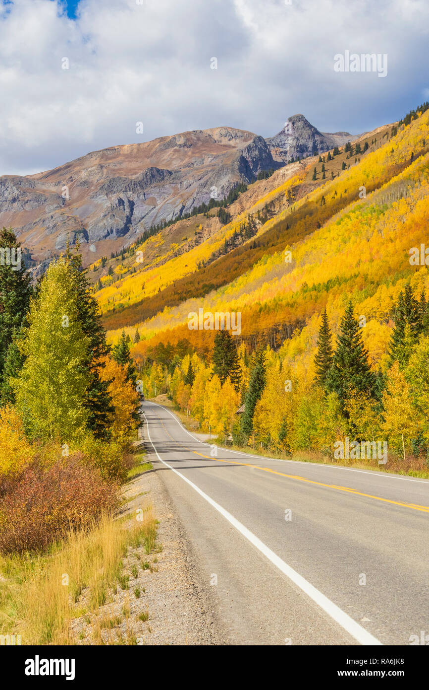 Aspen alberi e Colore di autunno lungo la US Highway 550, la Million Dollar Highway, tra Ouray e Silverton, Colorado. Foto Stock