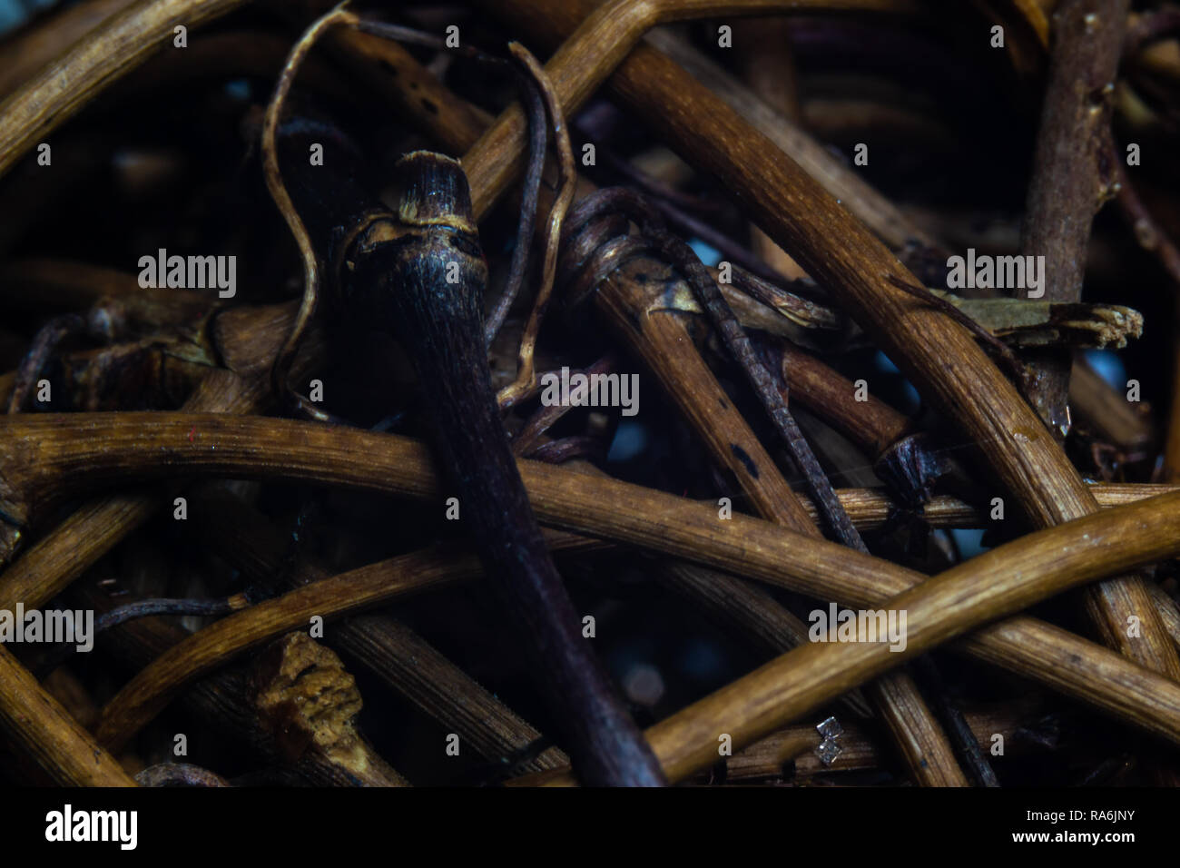 Sfondo per la grafica Foto Stock