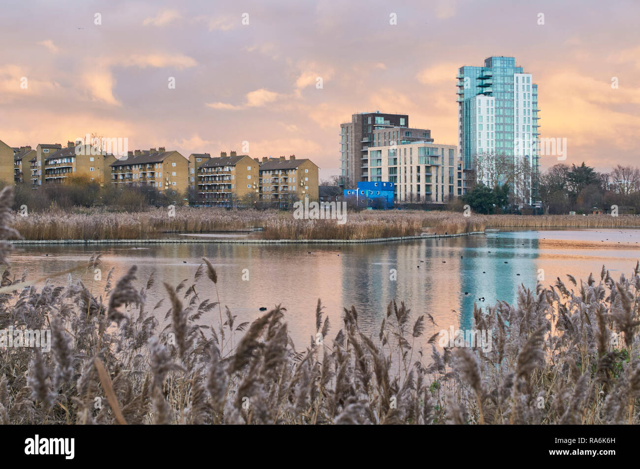 Woodberry Zone Umide riserva naturale, a nord di Londra, Regno Unito al tramonto in gennaio, con nuovi edifici di appartamenti Foto Stock