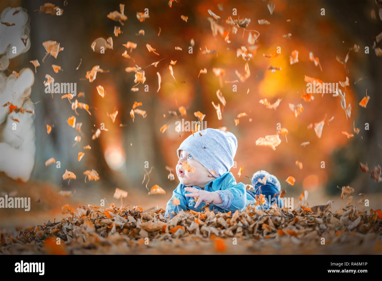 Bambino in foglie di autunno, Unterallgäu, Bavaria Foto Stock