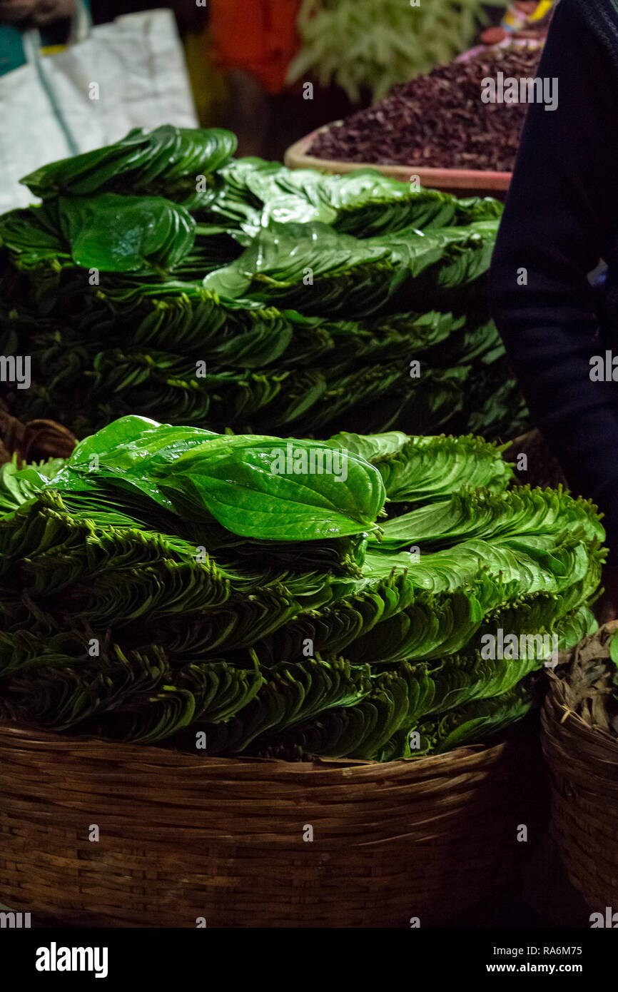 Un palo di decorativo di betel leafs utilizzato per rendere betel avvolge il dado. Un popolare masticazione stimolano in India. Foto Stock