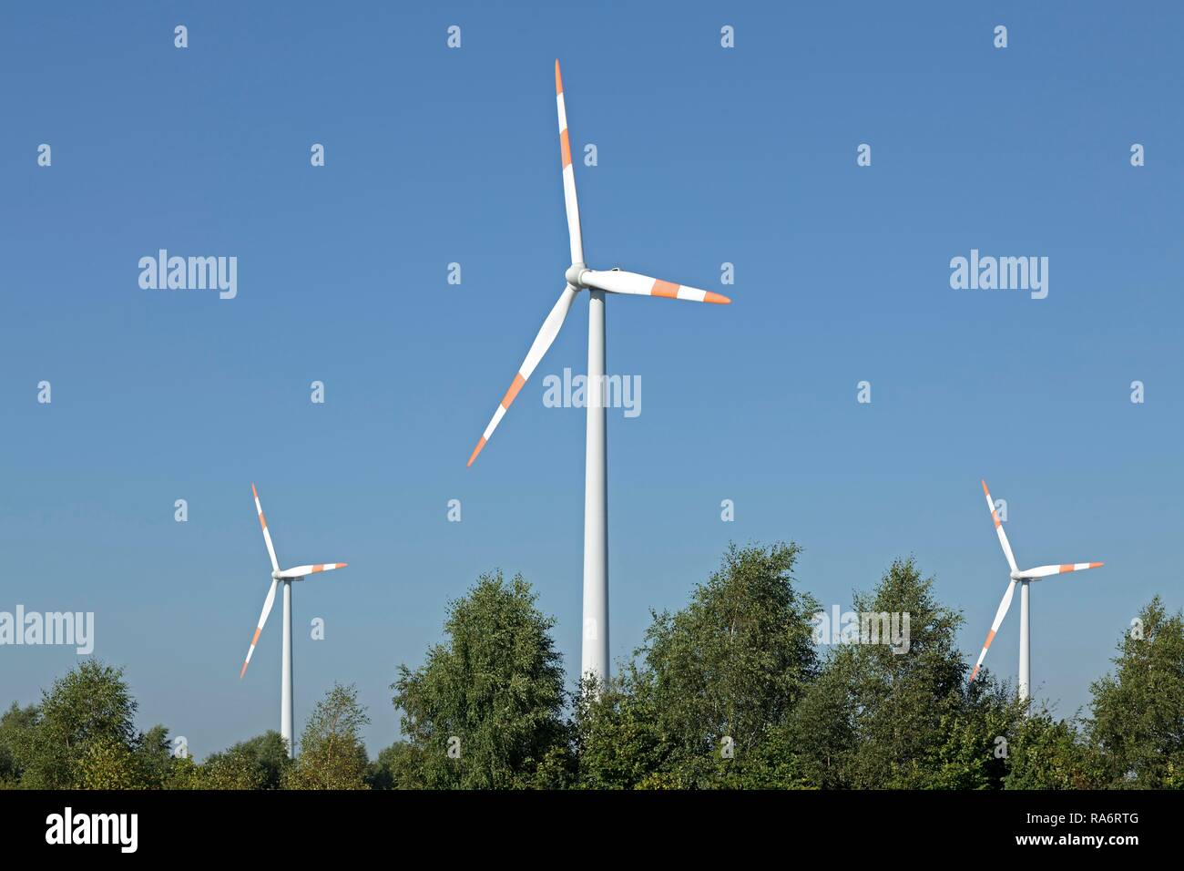 Wind power station, turbine eoliche, Sülbeck, Bassa Sassonia, Germania Foto Stock