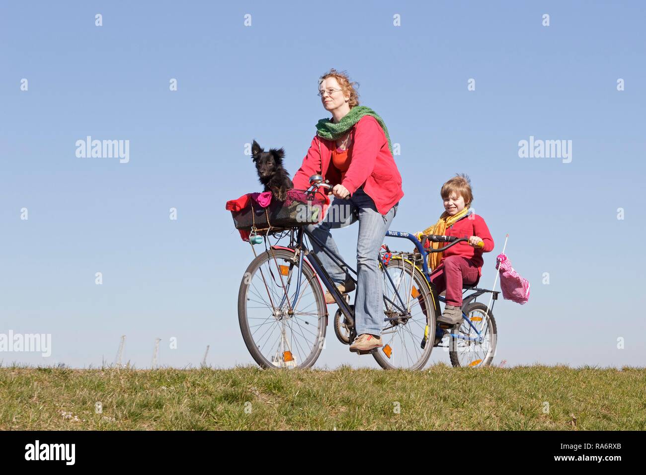 Madre e Figlio e un cane su un tour in bicicletta Foto Stock
