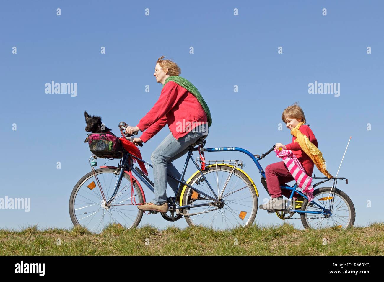 Madre e Figlio e un cane su un tour in bicicletta Foto Stock