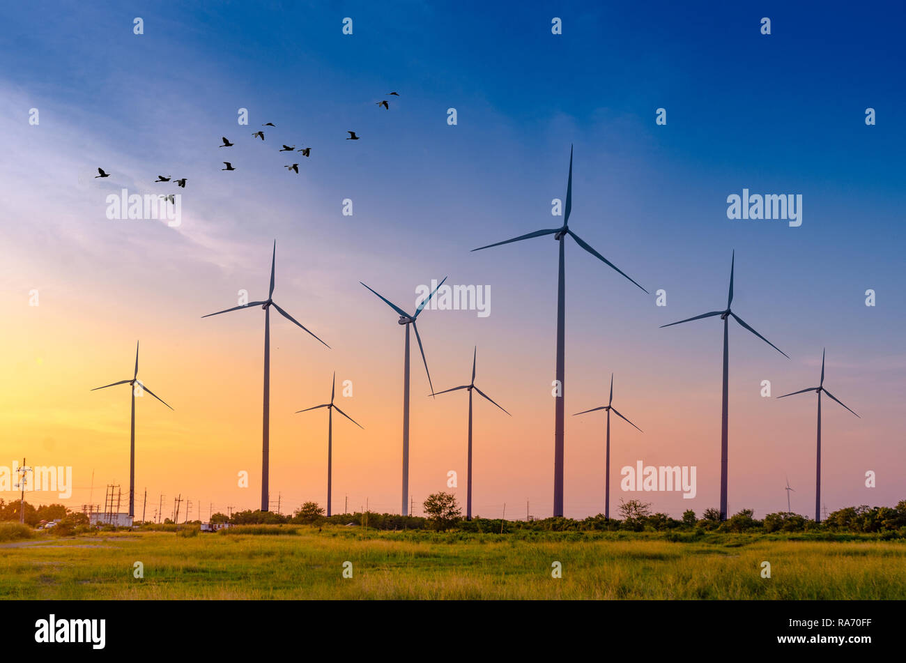 Turbina eolica energia ecologica Green power la generazione di energia. Wind Farm campo eco bellissimo cielo Hua Sai District Nakhon Si Thammarat Thailandia Foto Stock