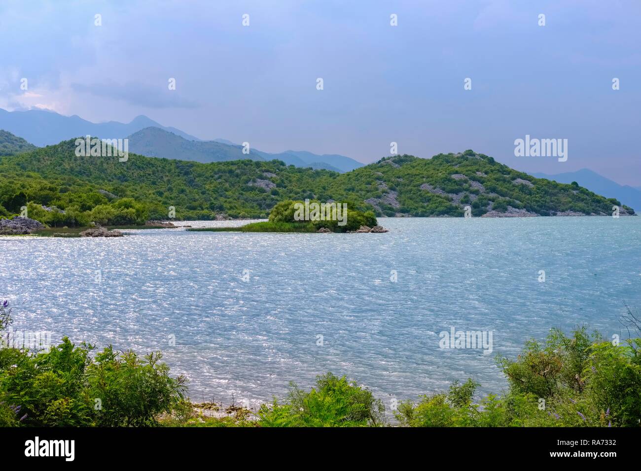 Lago di Skadar, il Parco Nazionale del Lago di Skadar South Shore, Skadarsko Jezero, Skje vicino a bar, Montenegro Foto Stock
