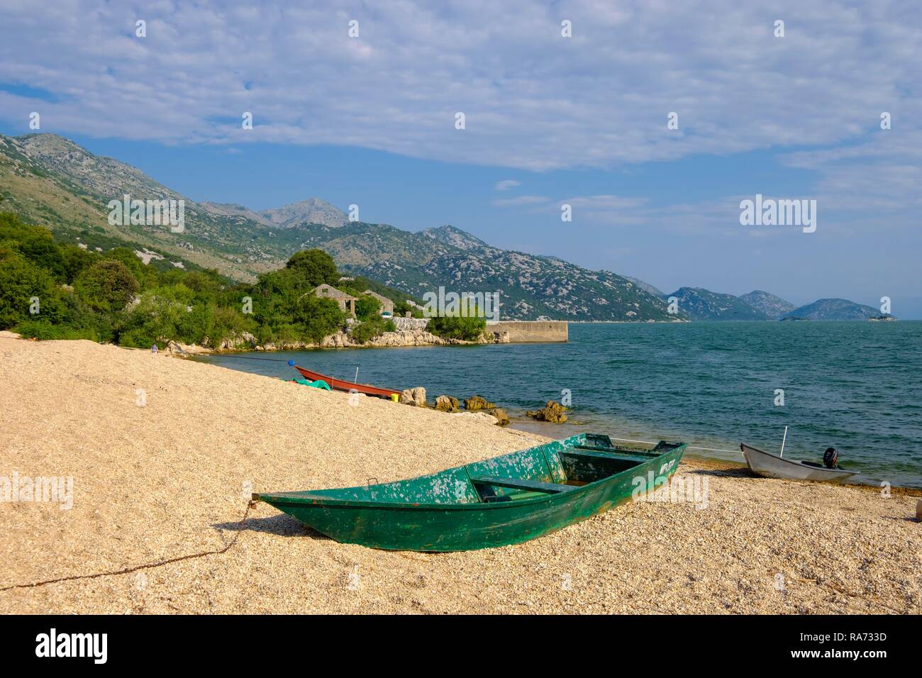 Barca presso la spiaggia di Murici, il Lago di Scutari, Skadarsko Jezero, il Lago di Scutari Parco Nazionale, nei pressi di bar, Montenegro Foto Stock