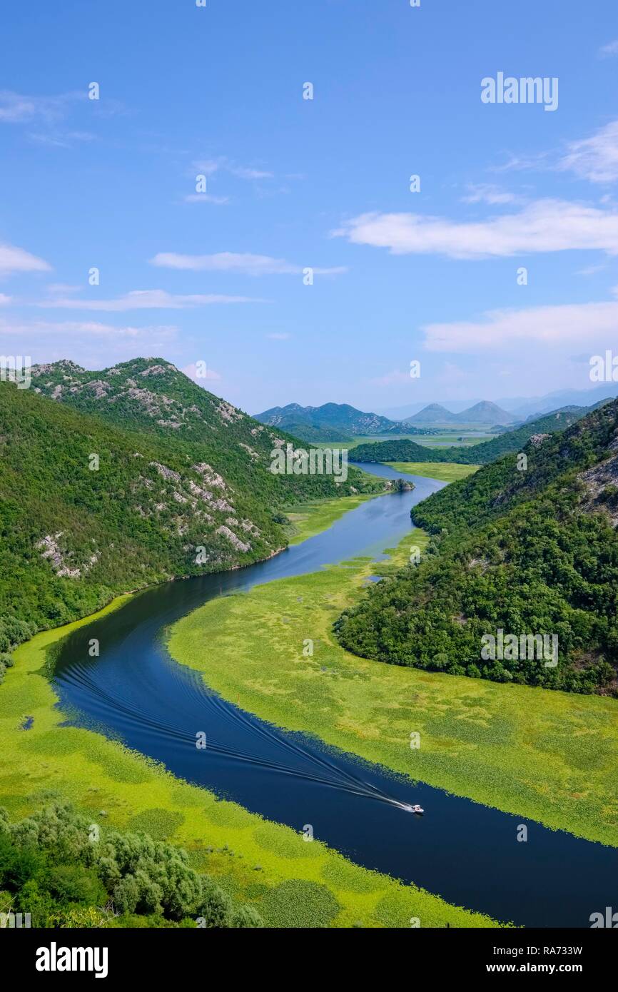 Fiume Rijeka Crnojevica, vista da Pavlova Strana Viewpoint, Lago di Scutari Parco Nazionale, vicino a Cetinje, Montenegro Foto Stock