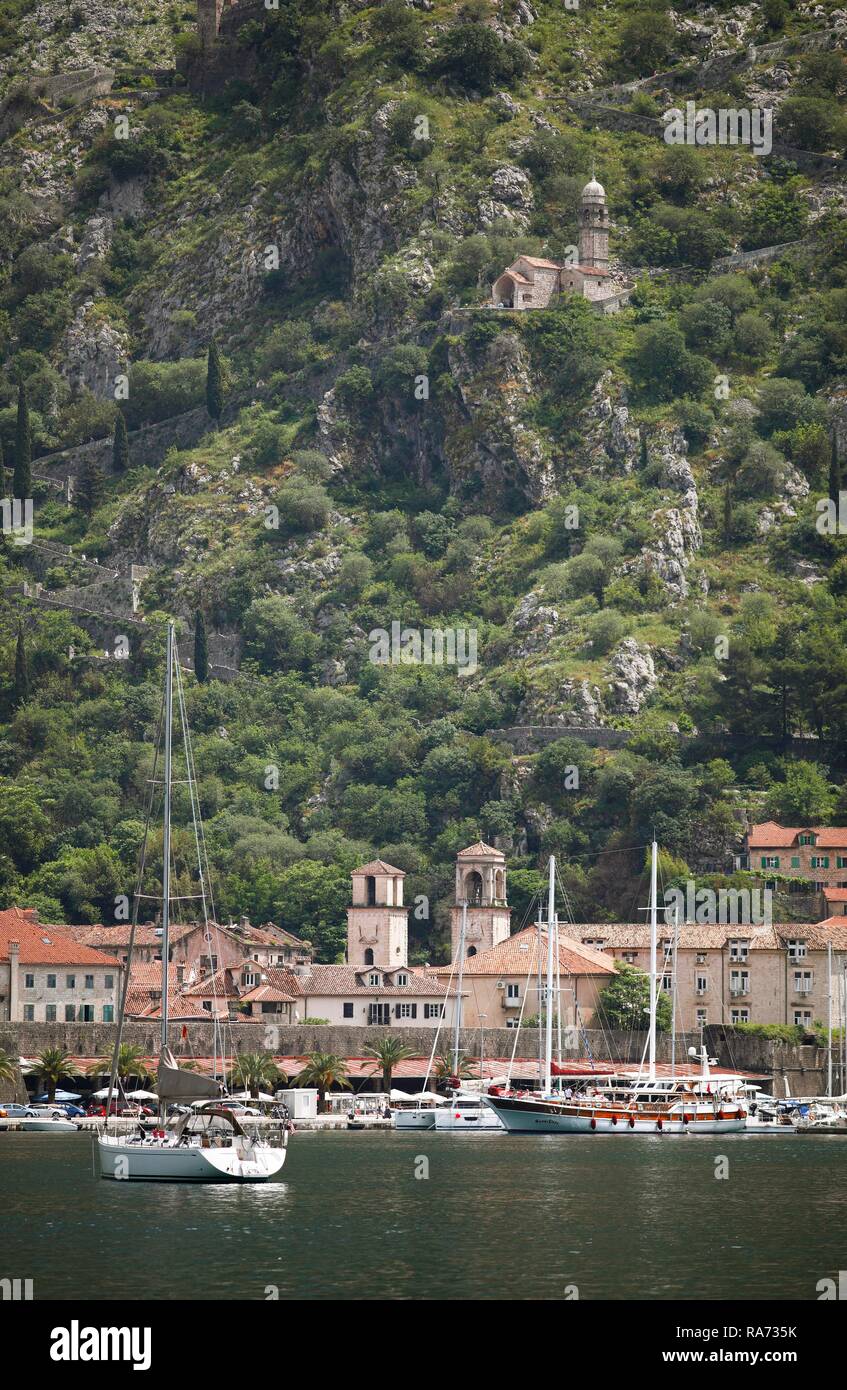 Città vecchia di Kotor, Baia di Kotor, Provincia di Cattaro, Montenegro Foto Stock