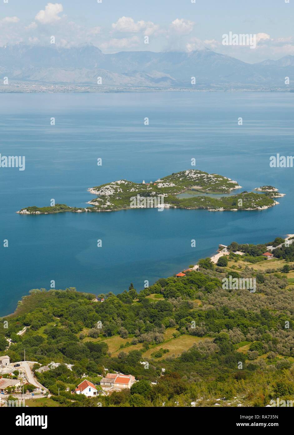 Beska Isola con Beska monastero nel Lago di Scutari o Lago di Scutari, il Lago di Scutari Parco Nazionale, Bar Provincia, Montenegro Foto Stock