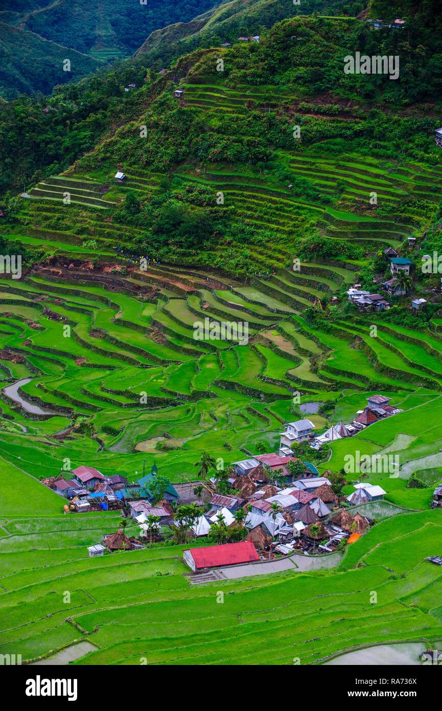 Batad terrazze di riso, parte del patrimonio mondiale vista Banaue, Luzon, Filippine Foto Stock