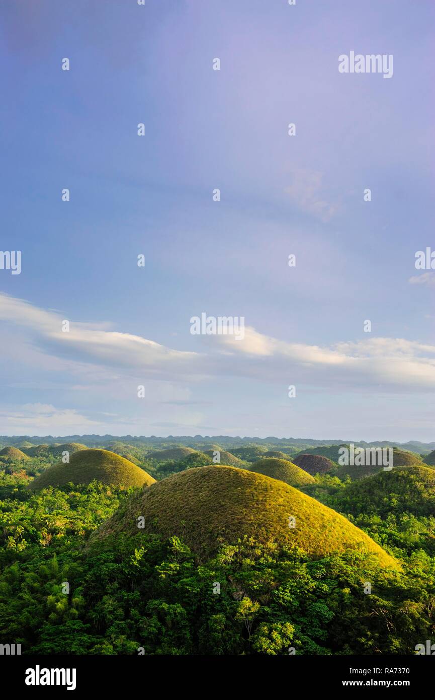 Chocolate Hills, Bohol, Filippine Foto Stock