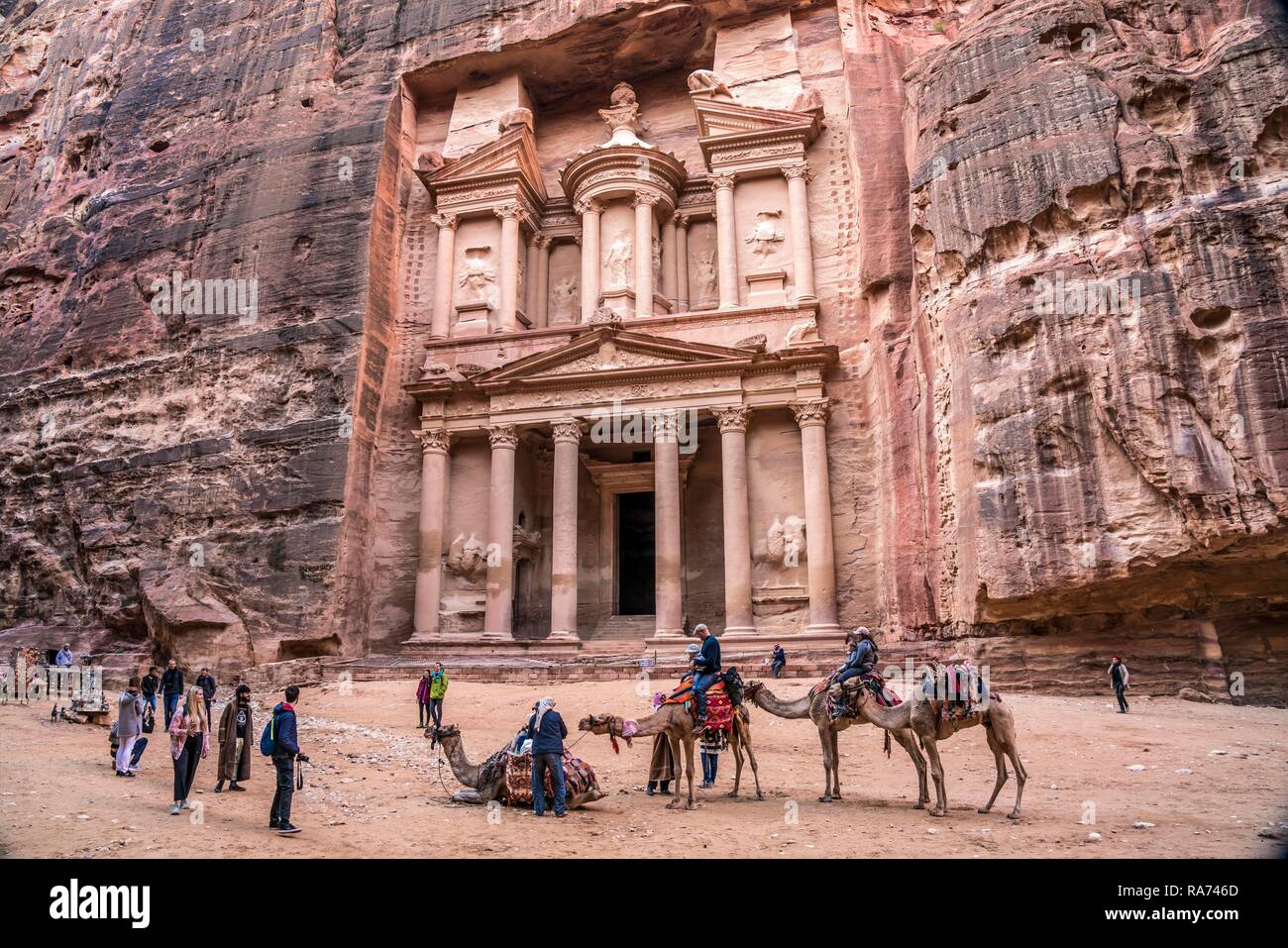 I cammelli di fronte alla casa del tesoro del faraone Khazne al-Firaun, Petra, Giordania Foto Stock