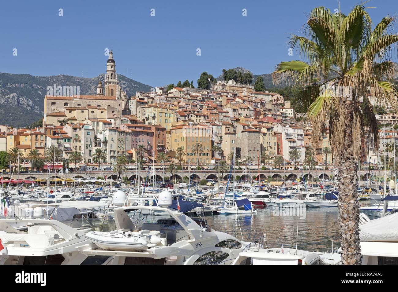 Città vecchia e marina, Mentone Costa Azzurra, Provence-Alpes-Côte d'Azur, in Francia Foto Stock