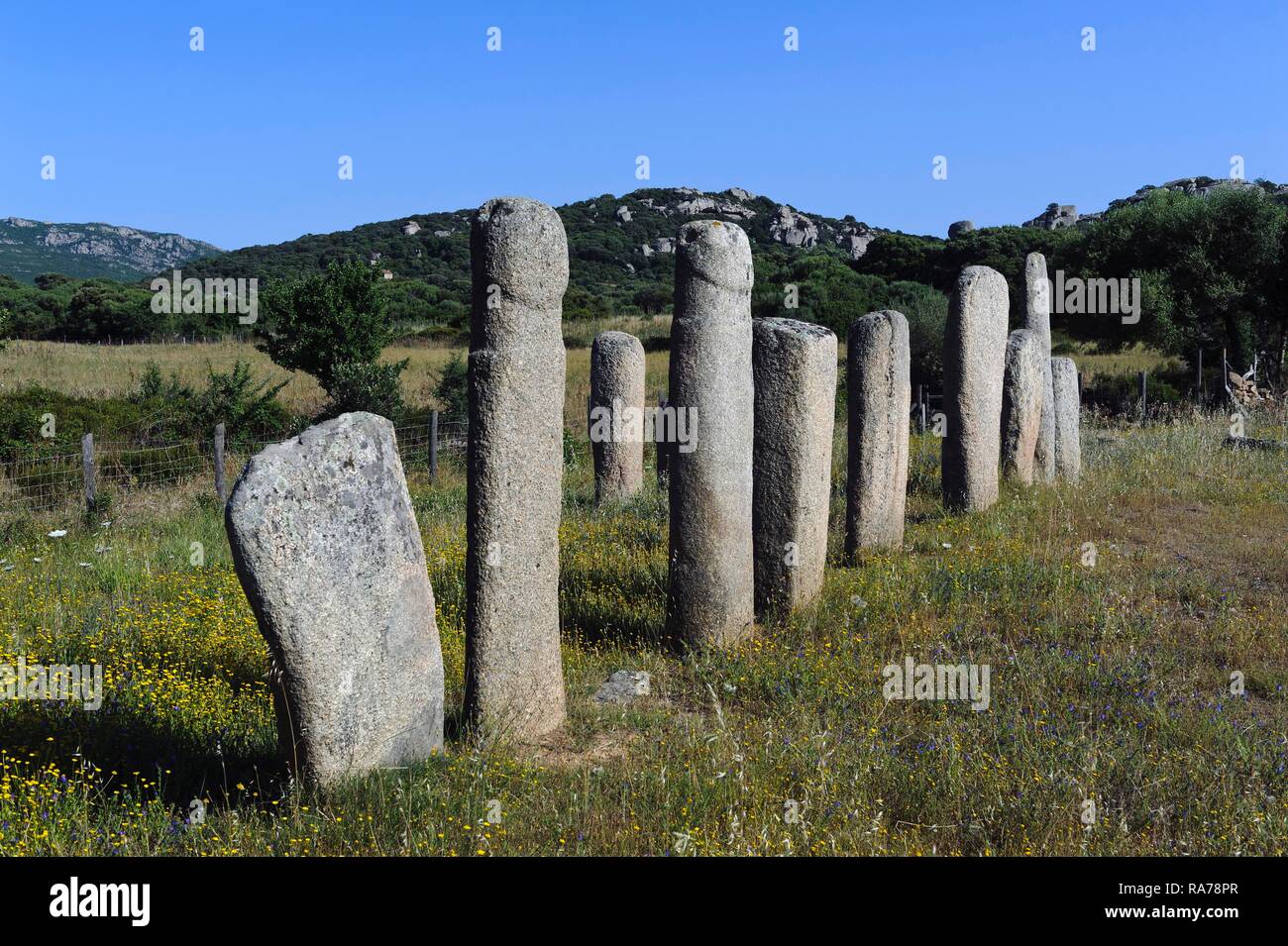 Resti preistorici di Cauria, allineamento d' Stantari menhir, Corsica, Francia, Europa Foto Stock