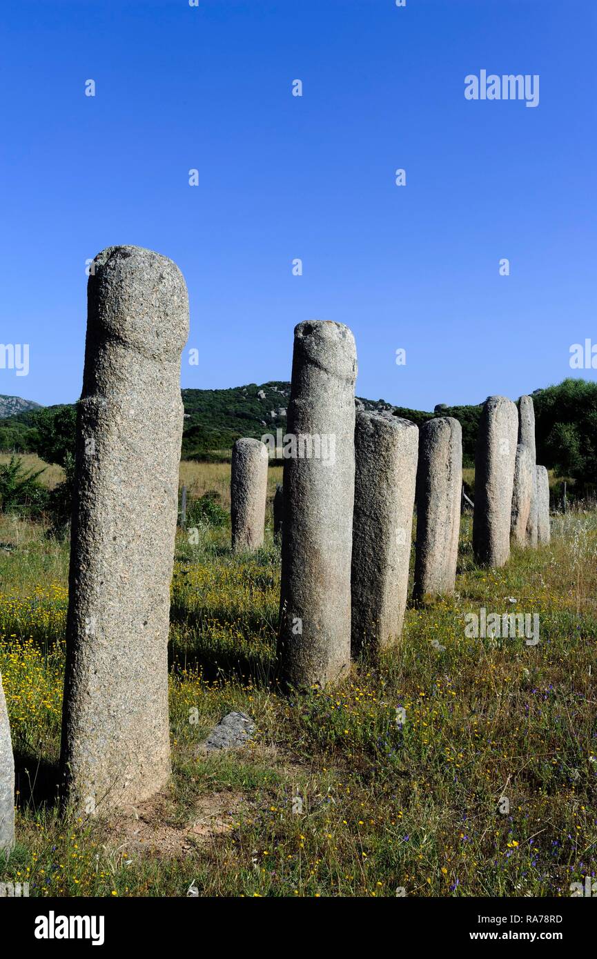 Resti preistorici di Cauria, Stantari di allineamento di menhir, Corsica, Francia, Europa Foto Stock