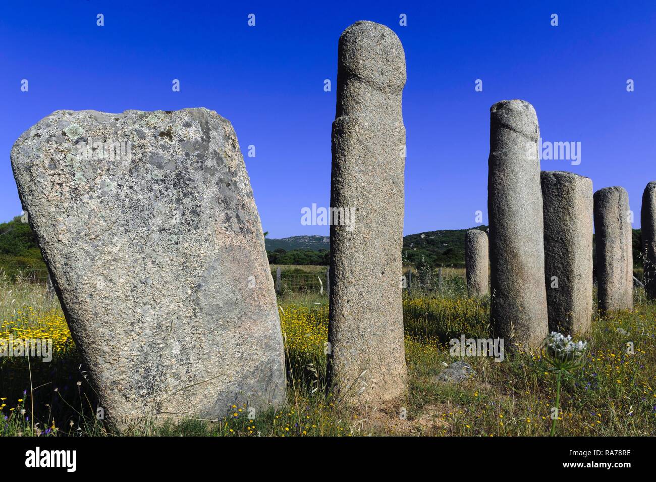 Resti preistorici di Cauria, Stantari di allineamento di menhir, Corsica, Francia, Europa Foto Stock