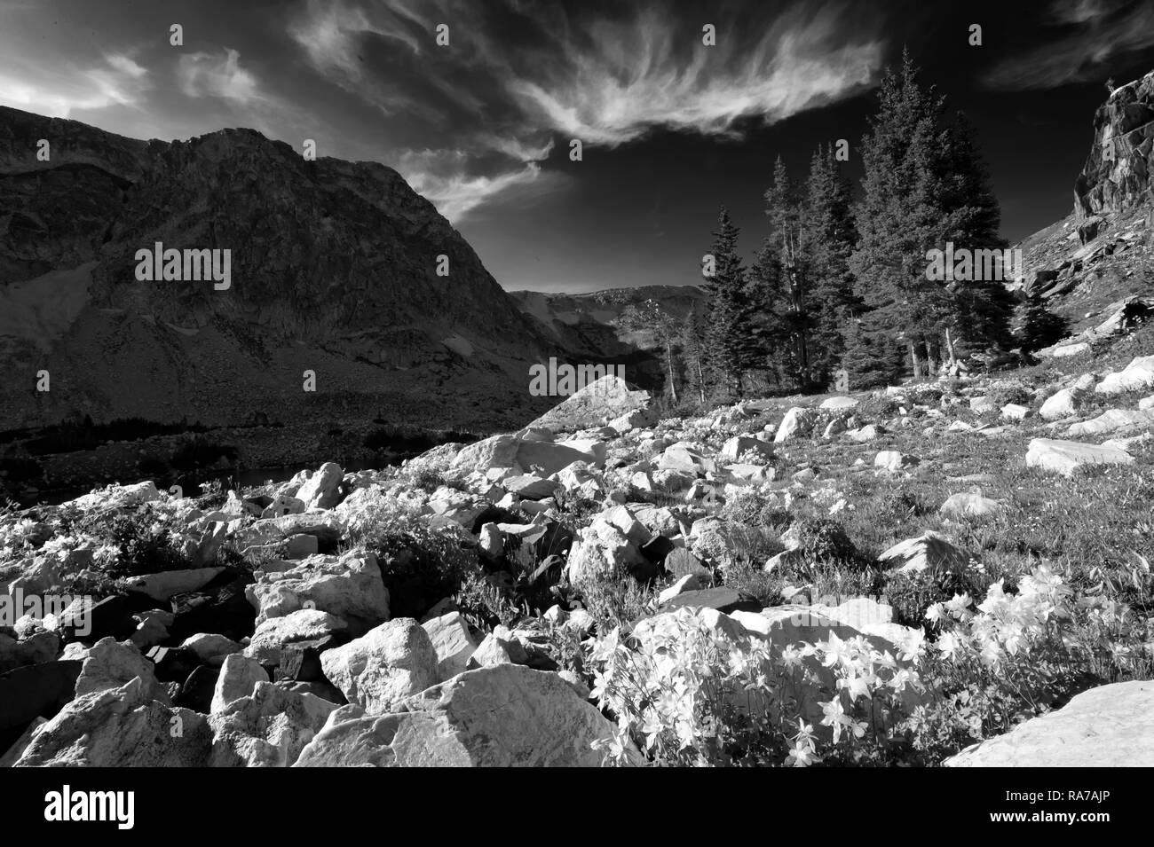 Luna con Giove sotto e Venere sopra; Laramie, Wyoming Foto Stock