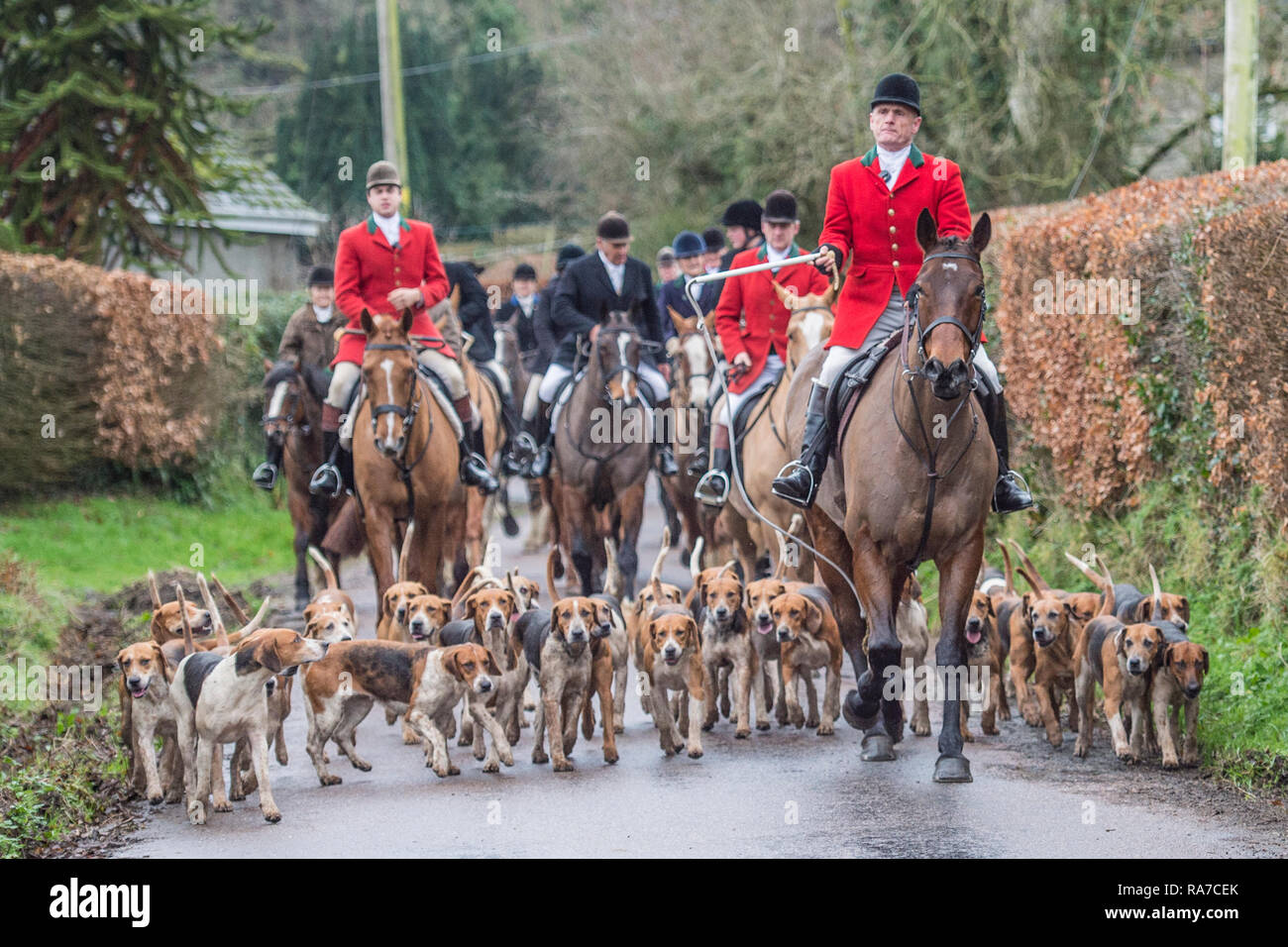 Huntsman and hounds escursioni a cavallo Foto Stock