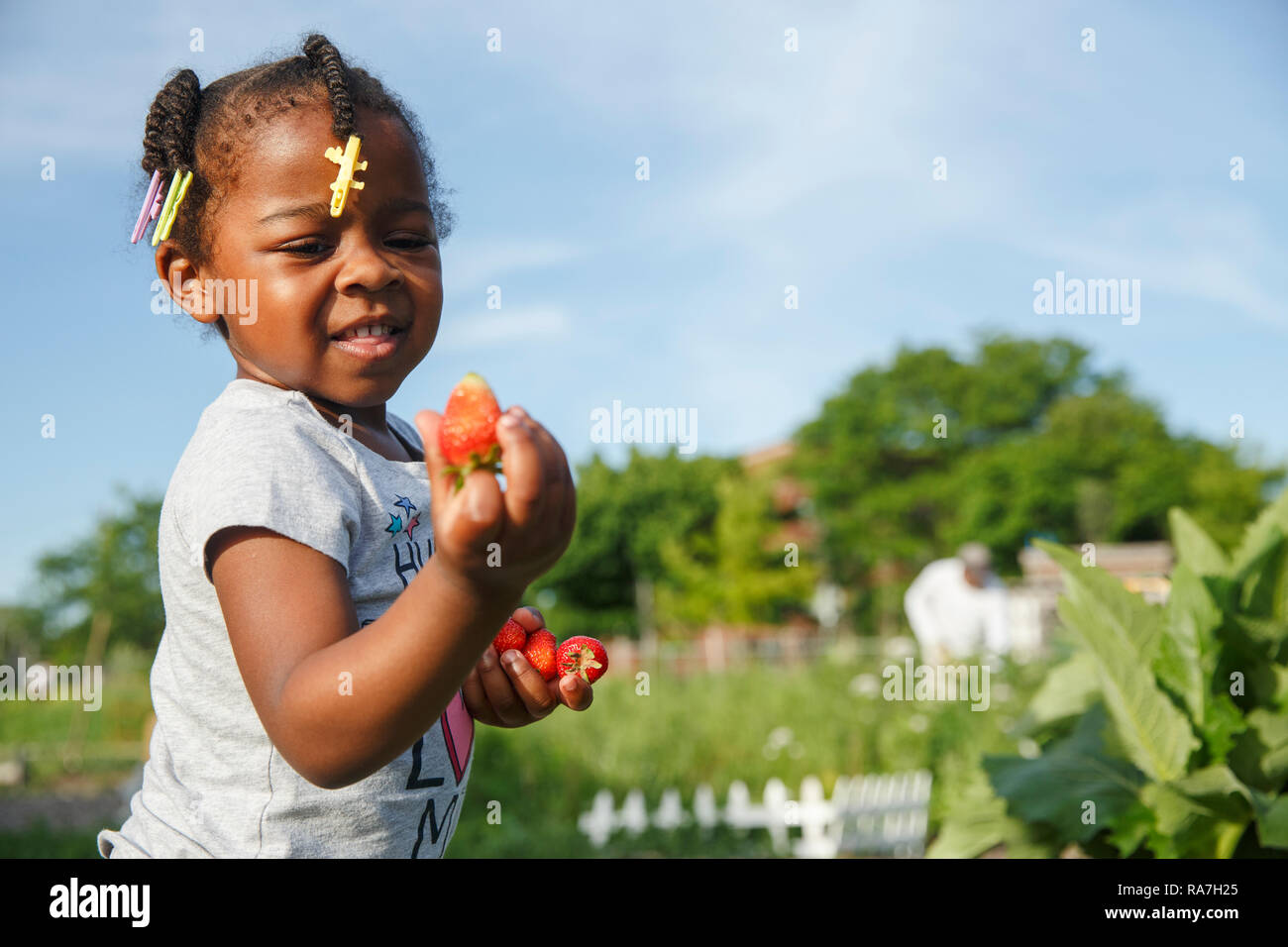 Alice il giardino in una serata estiva nel giugno del 2018 Foto Stock