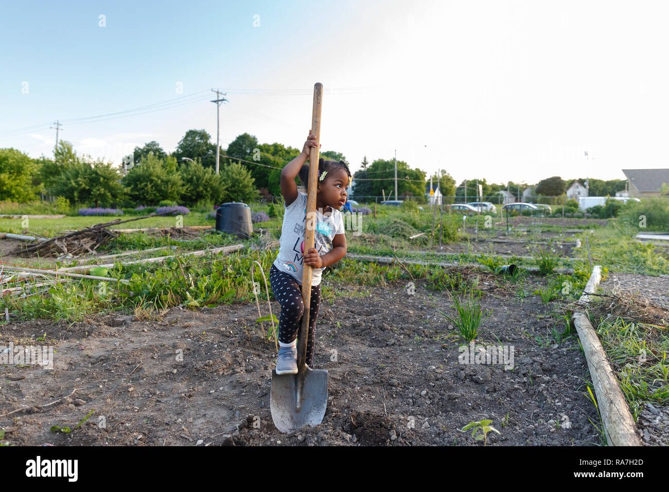 Zoe Scholle-Malone, età 3, ottiene alcuni lavori nella family garden plot. Foto Stock