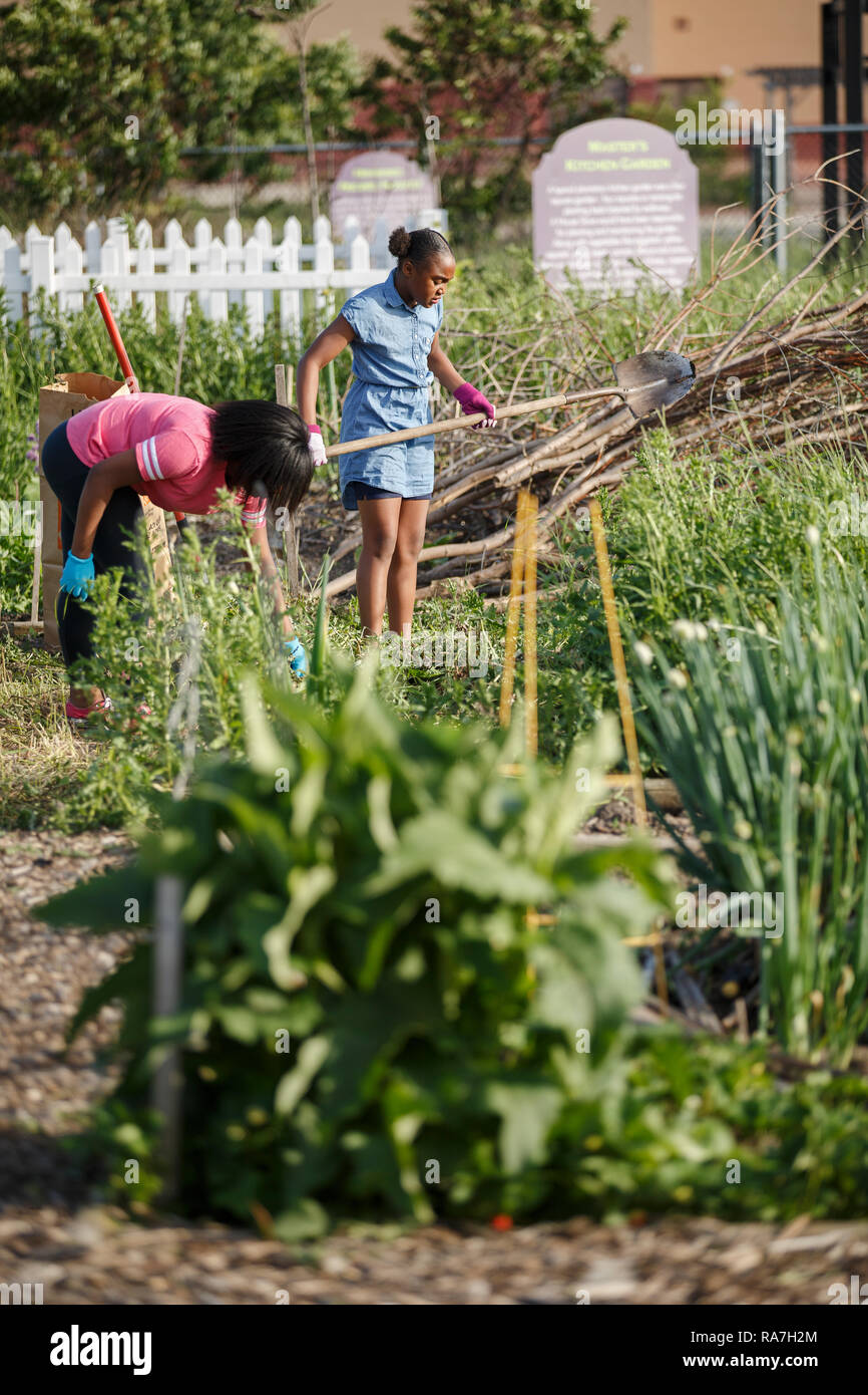 Due giovani donne lavorano in una comunità urbana garden Foto Stock