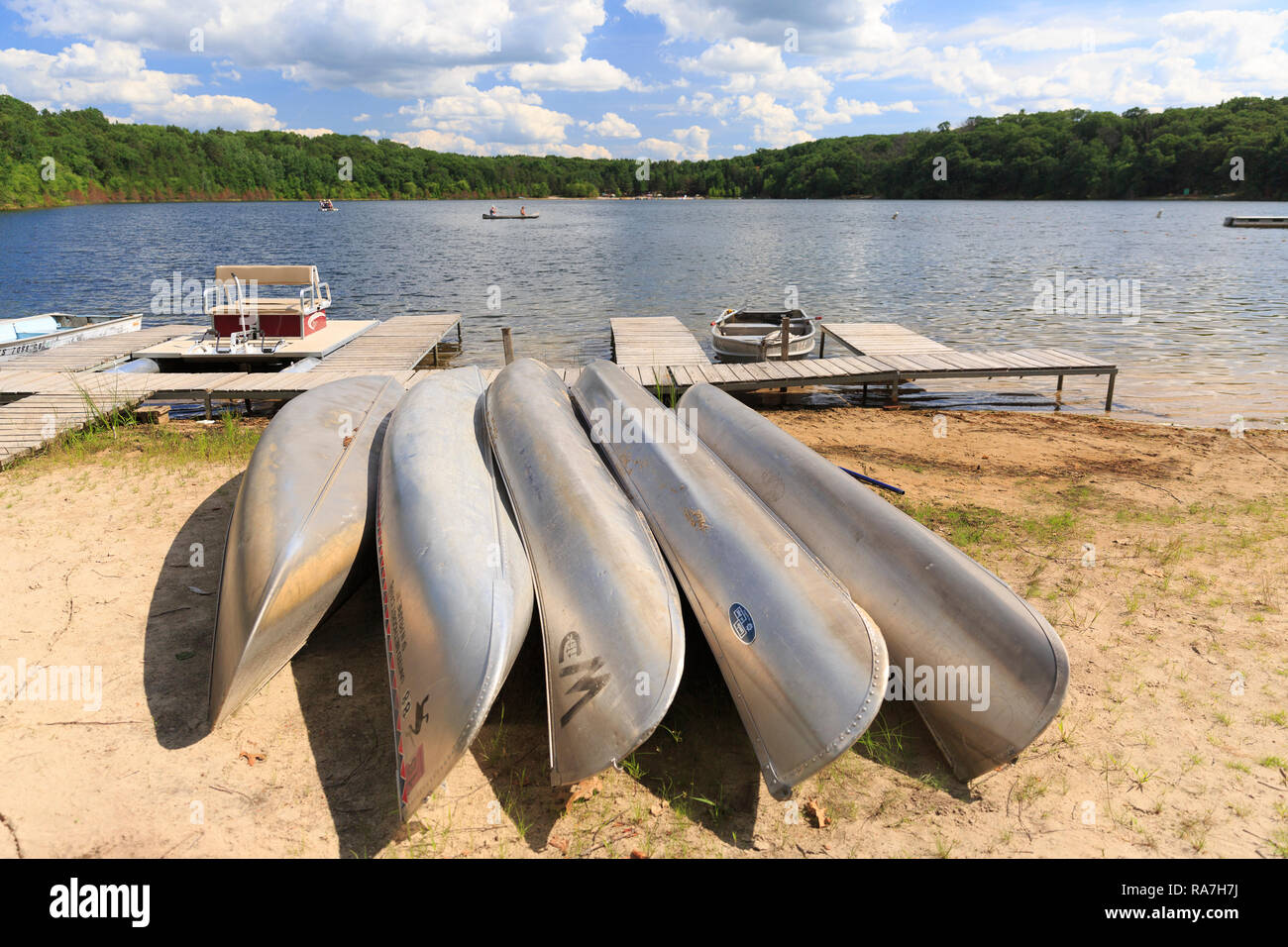 Una fila di canoe d'argento sono allineate sulla spiaggia di un lago nei boschi durante il campo estivo. Foto Stock