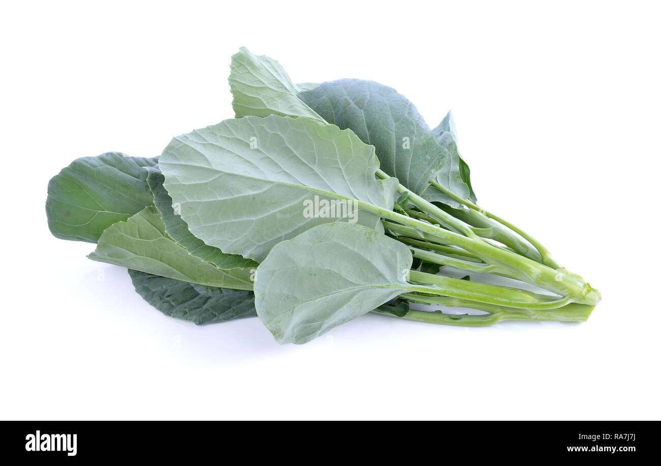 Broccoli cinesi isolati su sfondo bianco Foto Stock