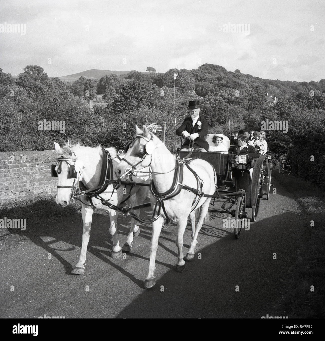 1967, mosso da un cavallo open-top nozze carrello tenendo la sposa e lo sposo e gli ospiti al ricevimento essendo riden lungo una strada di campagna, England, Regno Unito Foto Stock