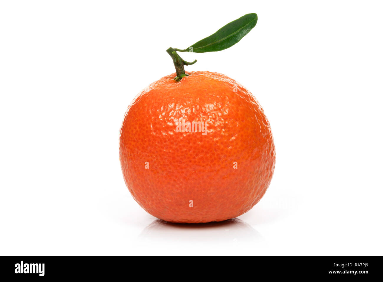 Solo perfetto arancio o mandarino frutta fresca con foglie su sfondo bianco in close-up Foto Stock